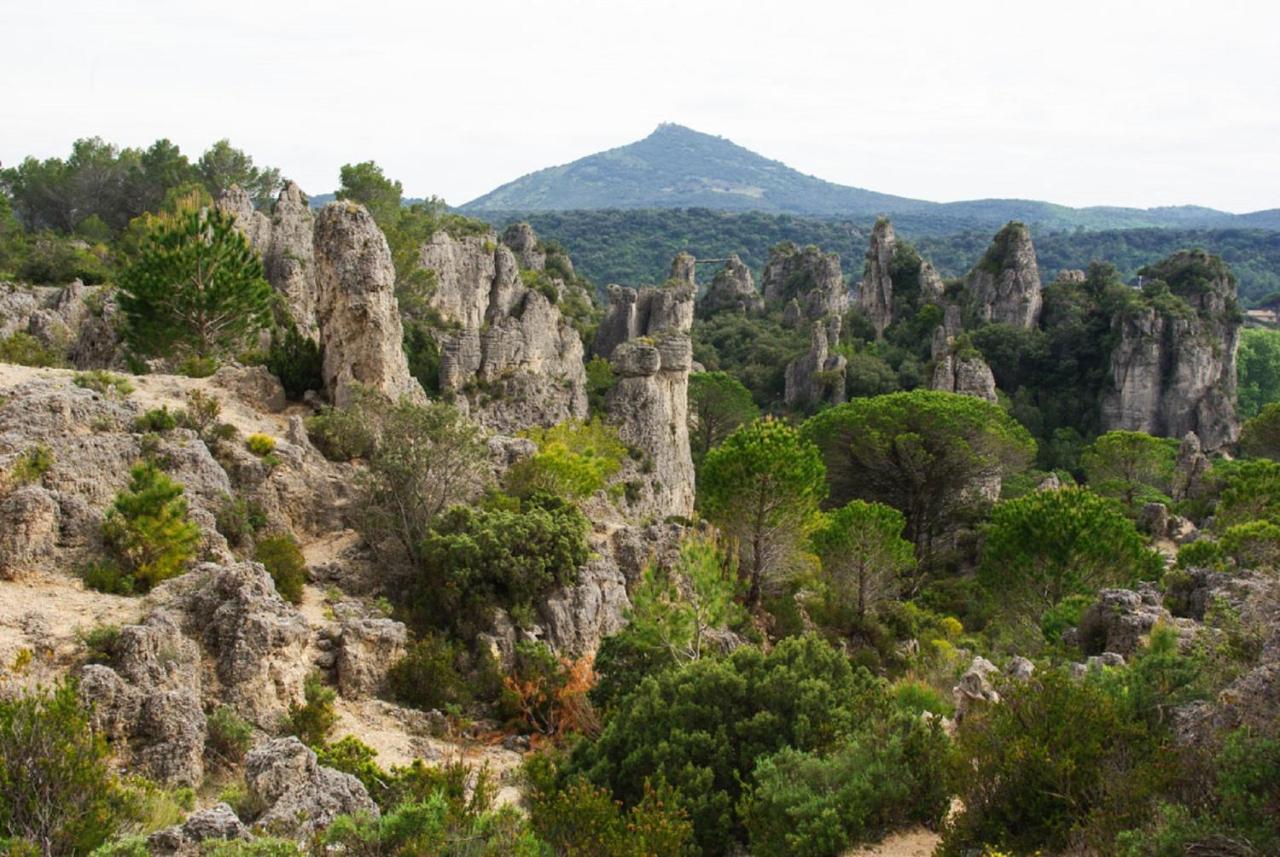 "Belle Etape"-Meuble De Tourisme 3 Etoiles -Residence "Les Logis De Beziers"-Garage Optionnel-Coeur De Ville-Plages A 16Km ! Εξωτερικό φωτογραφία