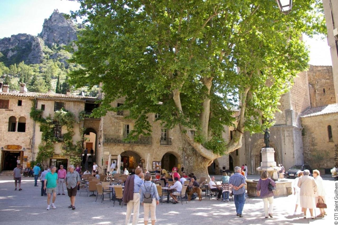 "Belle Etape"-Meuble De Tourisme 3 Etoiles -Residence "Les Logis De Beziers"-Garage Optionnel-Coeur De Ville-Plages A 16Km ! Εξωτερικό φωτογραφία